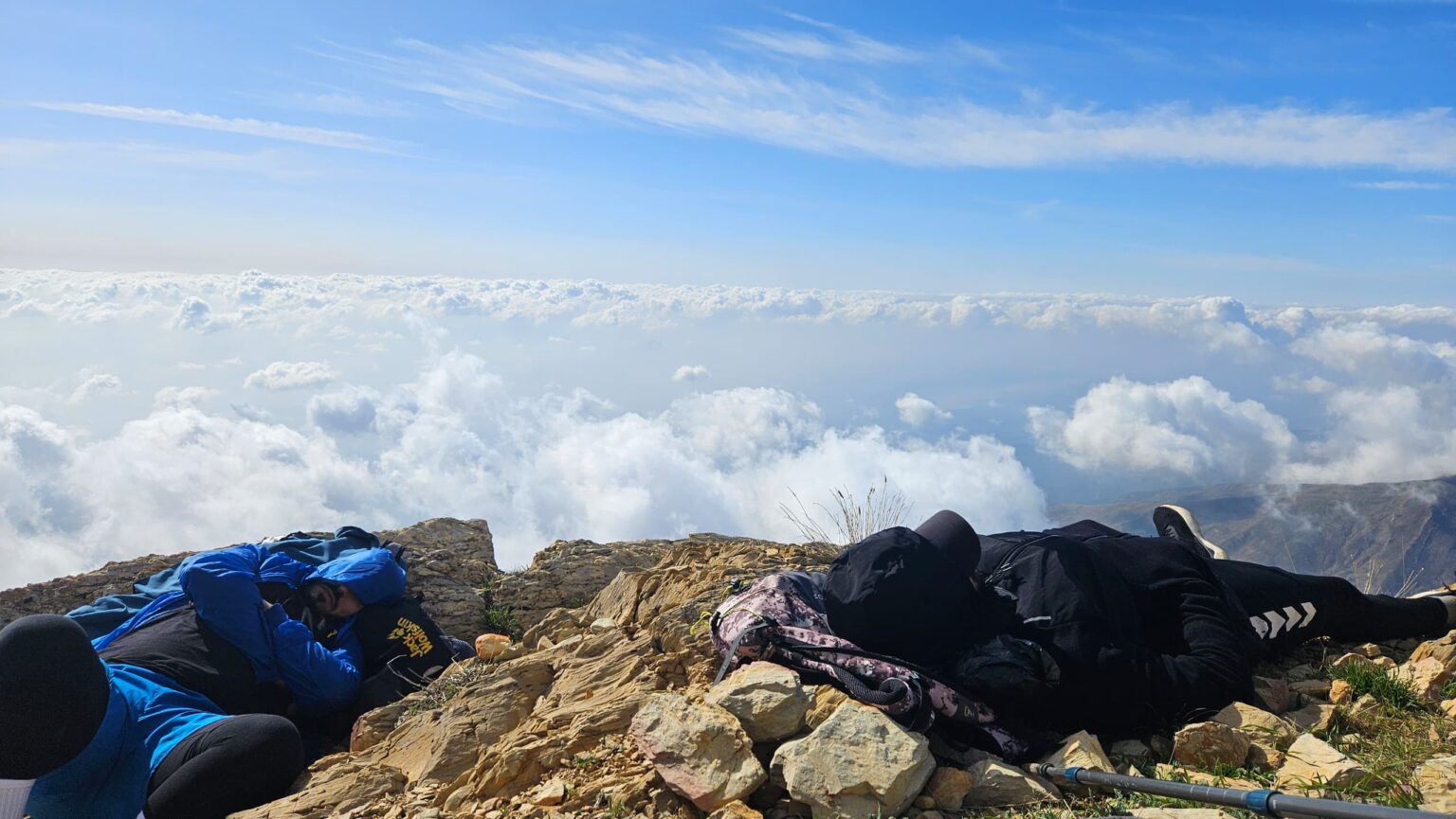 WhatsApp Image 2024-11-10 Ă 21.52.31_9b906a62