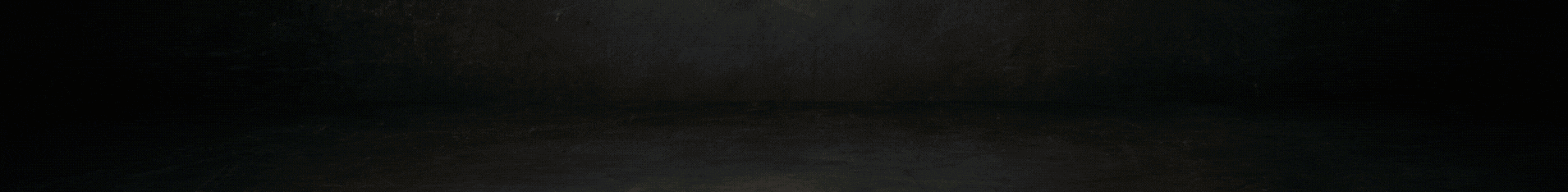 Copie de Copie de Copie de Sans titre (1910 x 234 px) HHHH