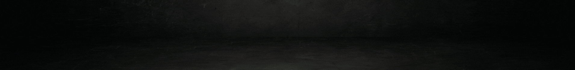 Copie de Copie de Copie de Sans titre (1910 x 234 px)mm