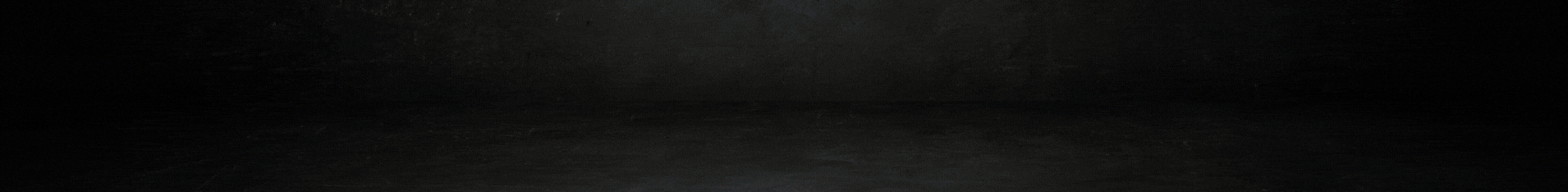 Copie de Copie de Copie de Copie de Sans titre (1910 x 234 px)