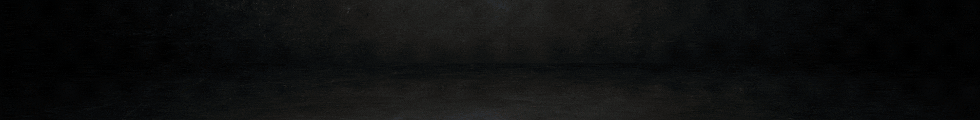 Copie de Copie de Copie de Copie de Sans titre (1910 x 234 px)C