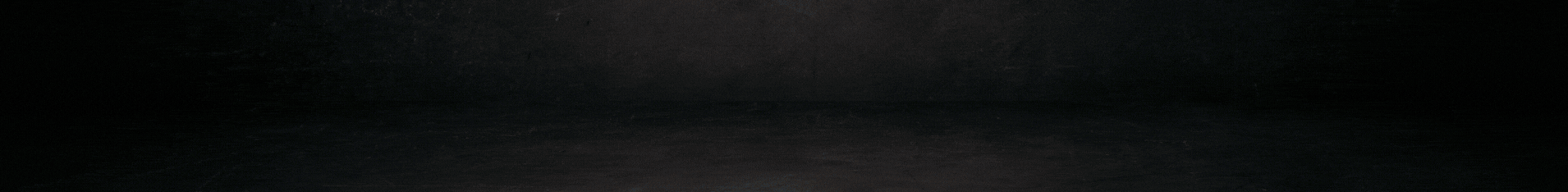 Copie de Copie de Copie de Sans titre (1910 x 234 px) pl